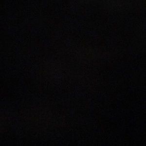 Meet your Posher, Dennis